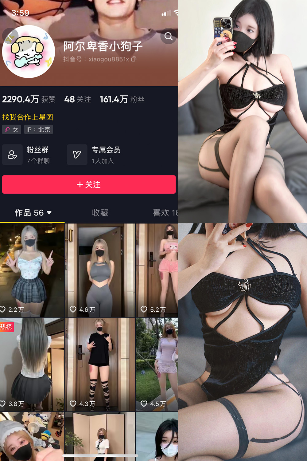 阿尔卑香小狗子 微密圈 NO.019期 最新至：2023.8.21
