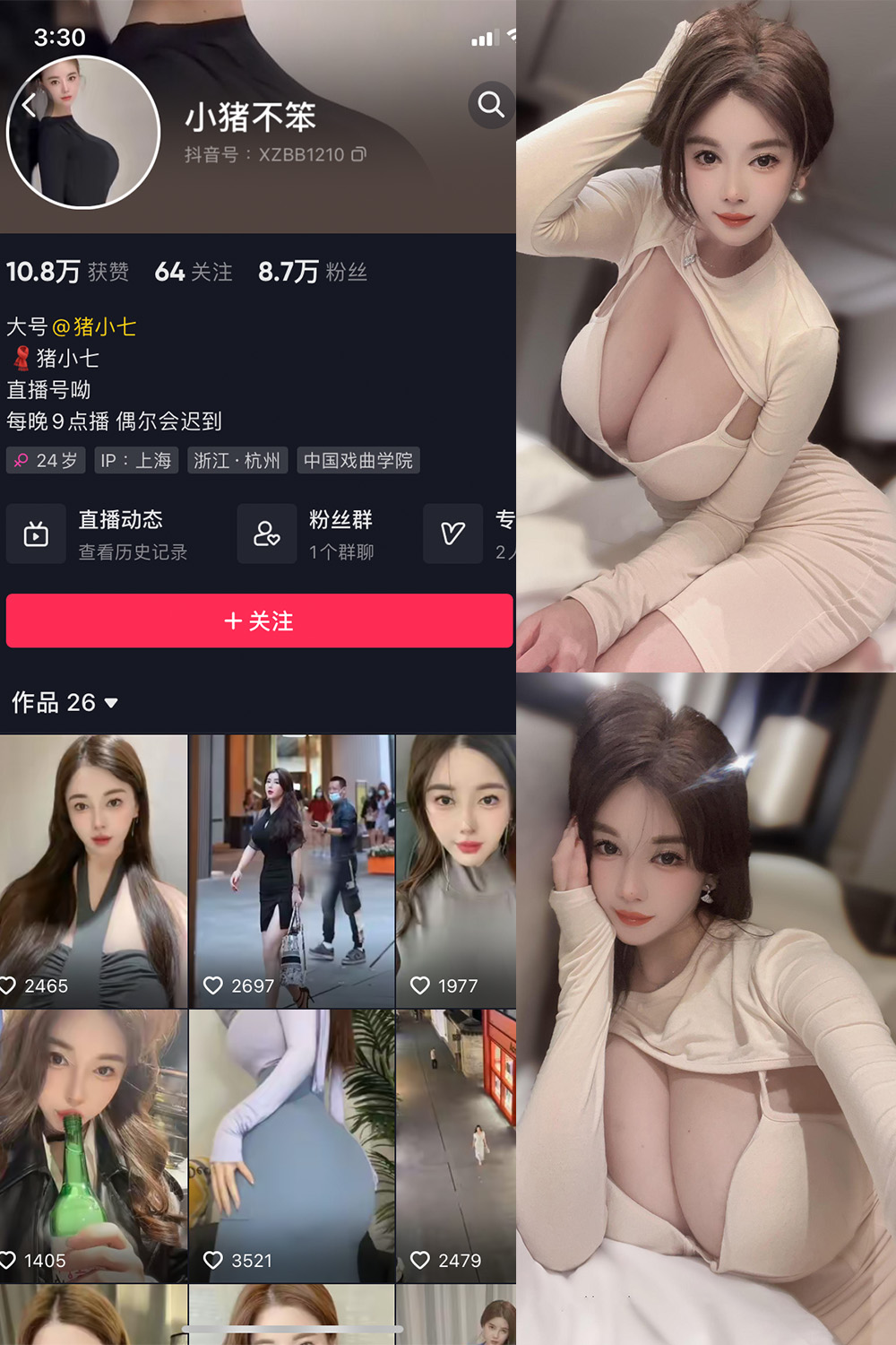 猪小七