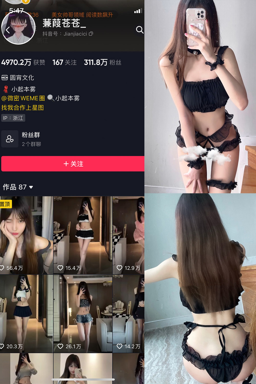 蒹葭苍苍 微密圈 NO.031期 最新至：2024.8.17