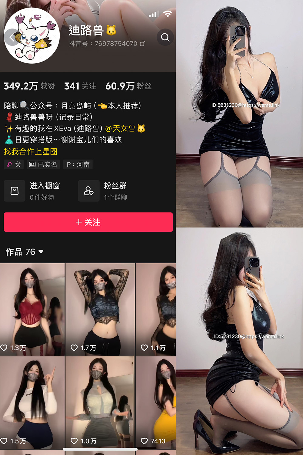 迪路兽