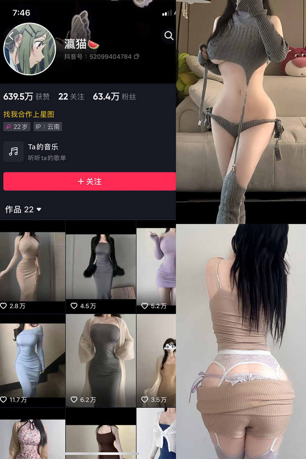 瀛猫