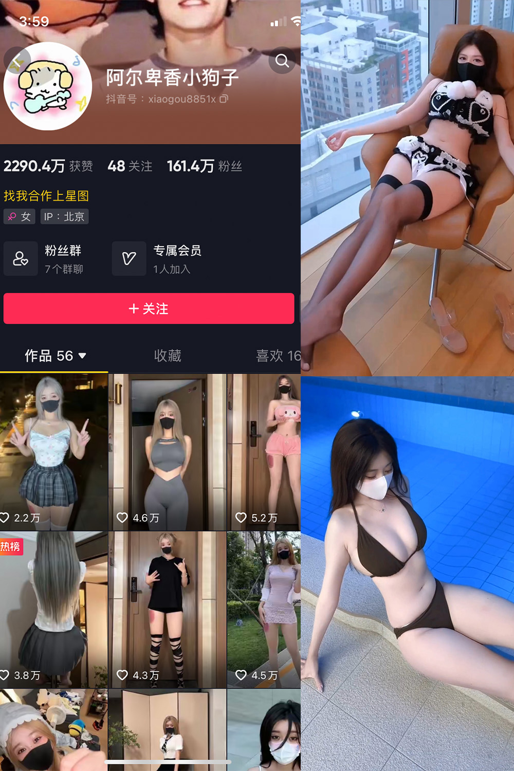 阿尔卑香小狗子 微密圈 NO.062期 最新至：2025.5.22
