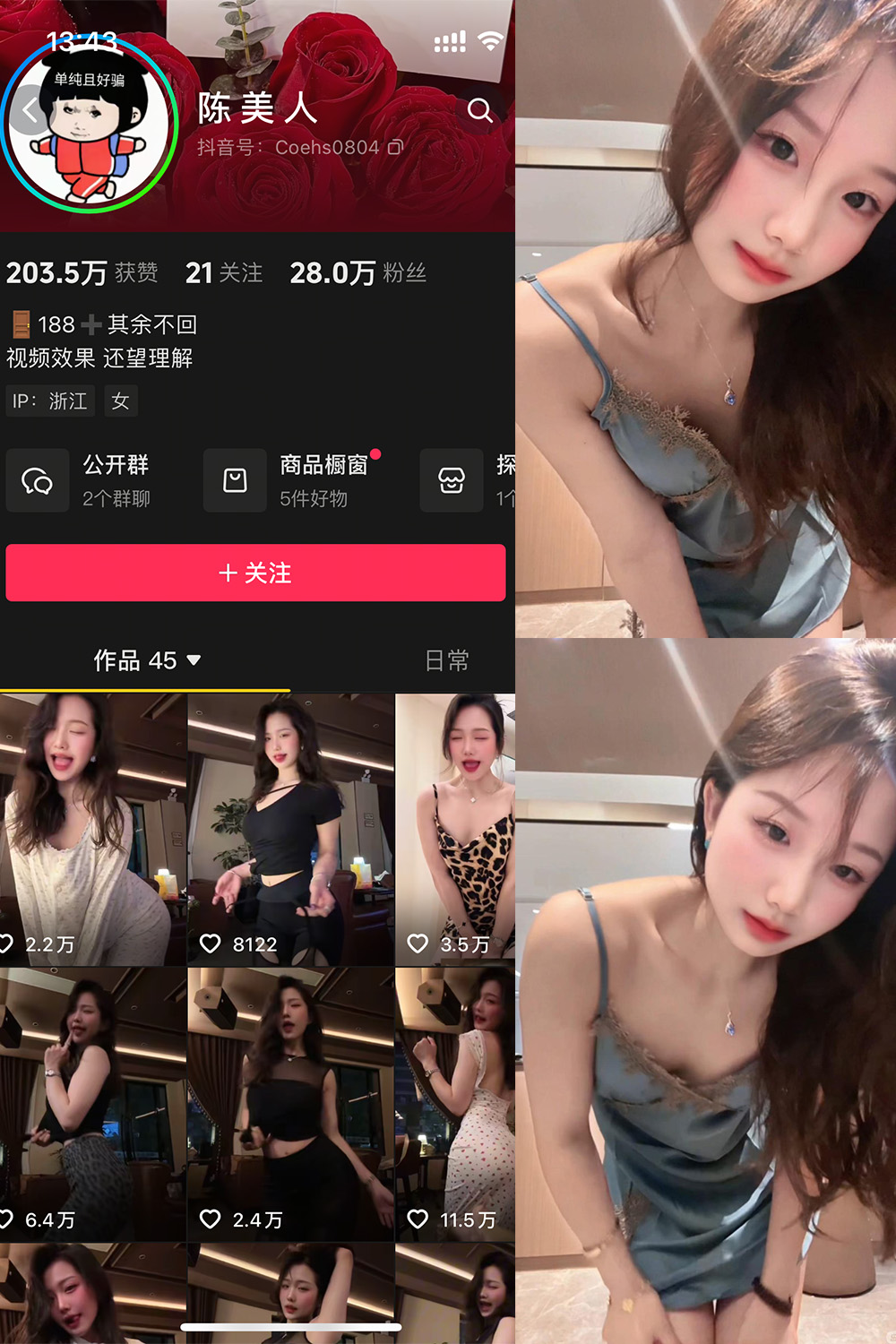 陈美人