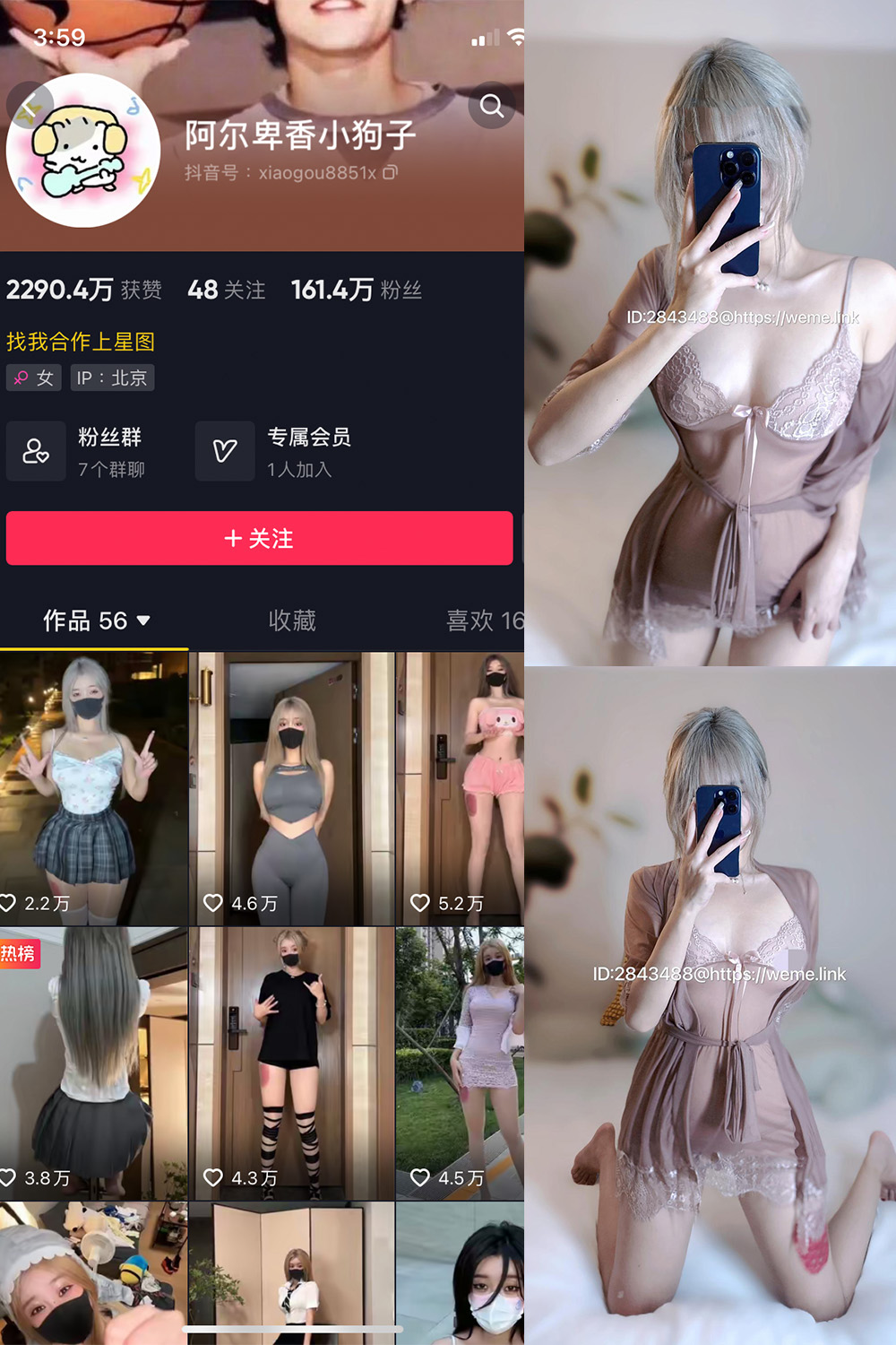 阿尔卑香小狗子