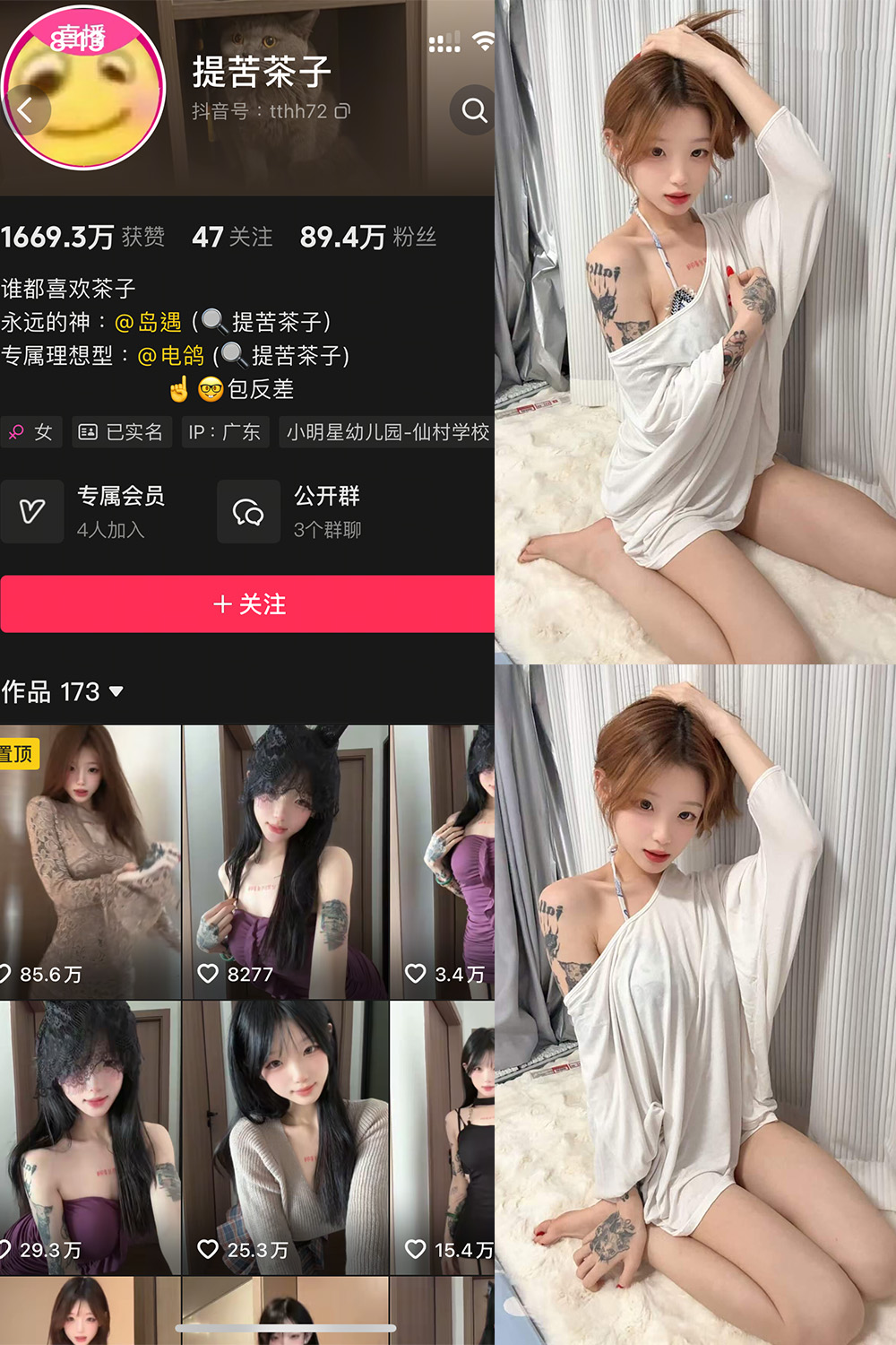 提苦茶子 岛遇 NO.007期 最新至：2026.7.7